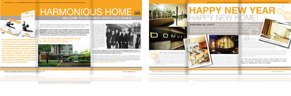 DomusNewsletter